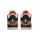 Jordan 3 Desert Elephant CT8532-008