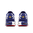 Nike Air Max Plus White Red Blue CJ9928-100