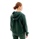 Кофта Nike NS PE CLB FLC SHINE OS PO FB8763-328