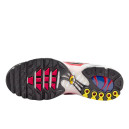 Nike Air Max Plus White Grey Black DM0032-002