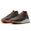 React Pegasus Trail 4 Gore-Tex Anthracite Ale Brown FD5841-001