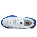 Nike Air Max DN Platinum Royal DV3337-102
