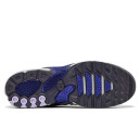 Nike Air Max Plus Drift Concord FD4290-007