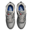 Reebok Classic Leather Hexalite Cordura Light Gray