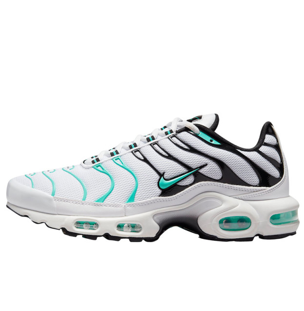Nike Air Max Plus TN White Mint Black 604133-148