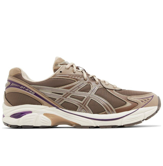 Asics GT 2160 Dark Taupe Purple 1203A320-251
