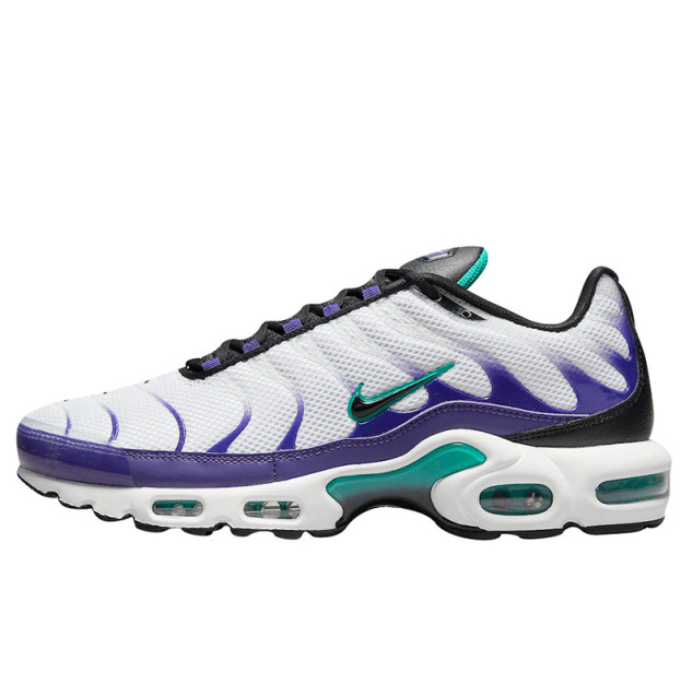 Nike Air Max Plus Grape DM0032-100