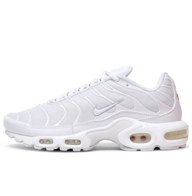 Nike Air Max Plus White DM2362-100