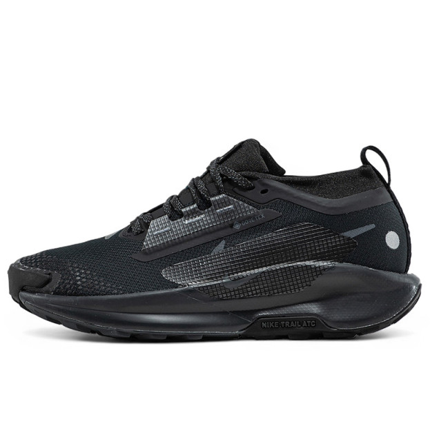 Nike Pegasus Trail 5 Gore-Tex Black Anthracite FQ0908-002
